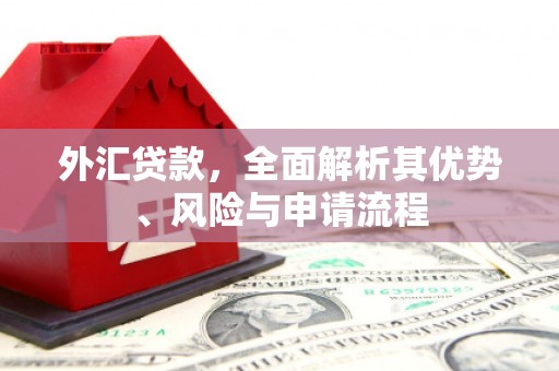 烈屿外汇贷款，全面解析其优势、风险与申请流程