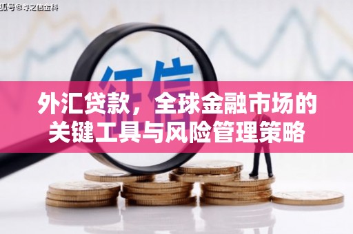 烈屿外汇贷款，全球金融市场的关键工具与风险管理策略