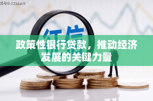 烈屿政策性银行贷款，推动经济发展的关键力量