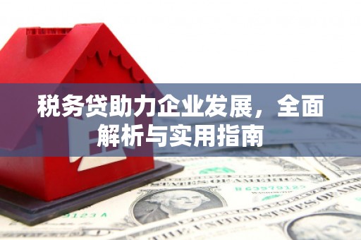 烈屿税务贷助力企业发展，全面解析与实用指南