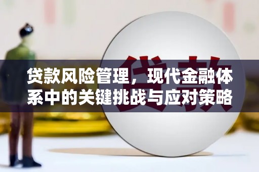烈屿贷款风险管理，现代金融体系中的关键挑战与应对策略